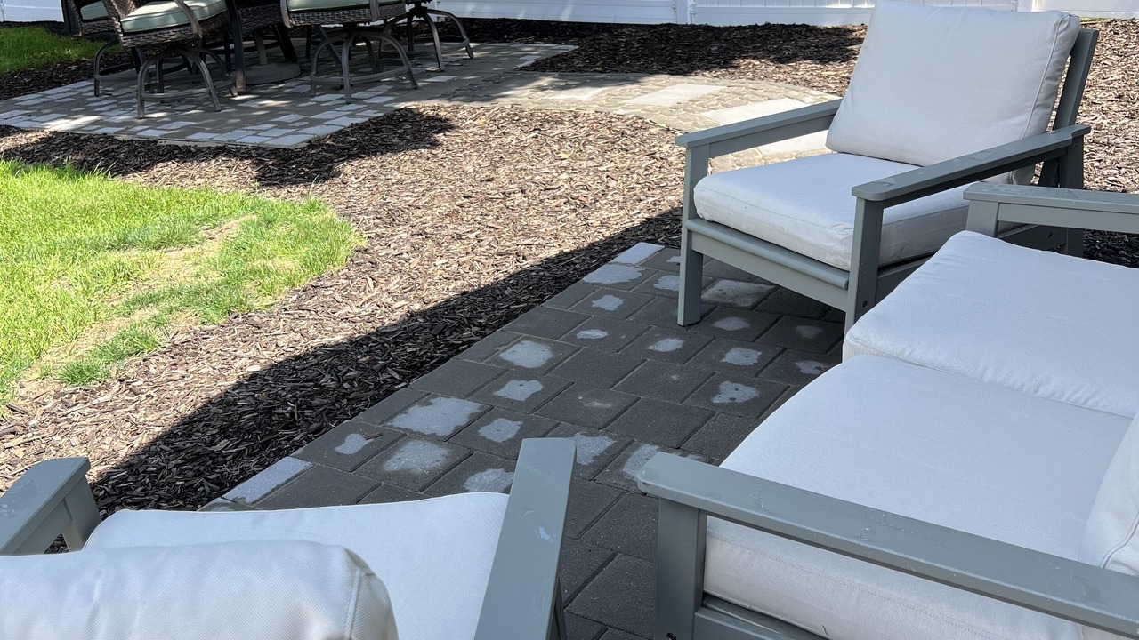 Photo of Outdoor in Holland