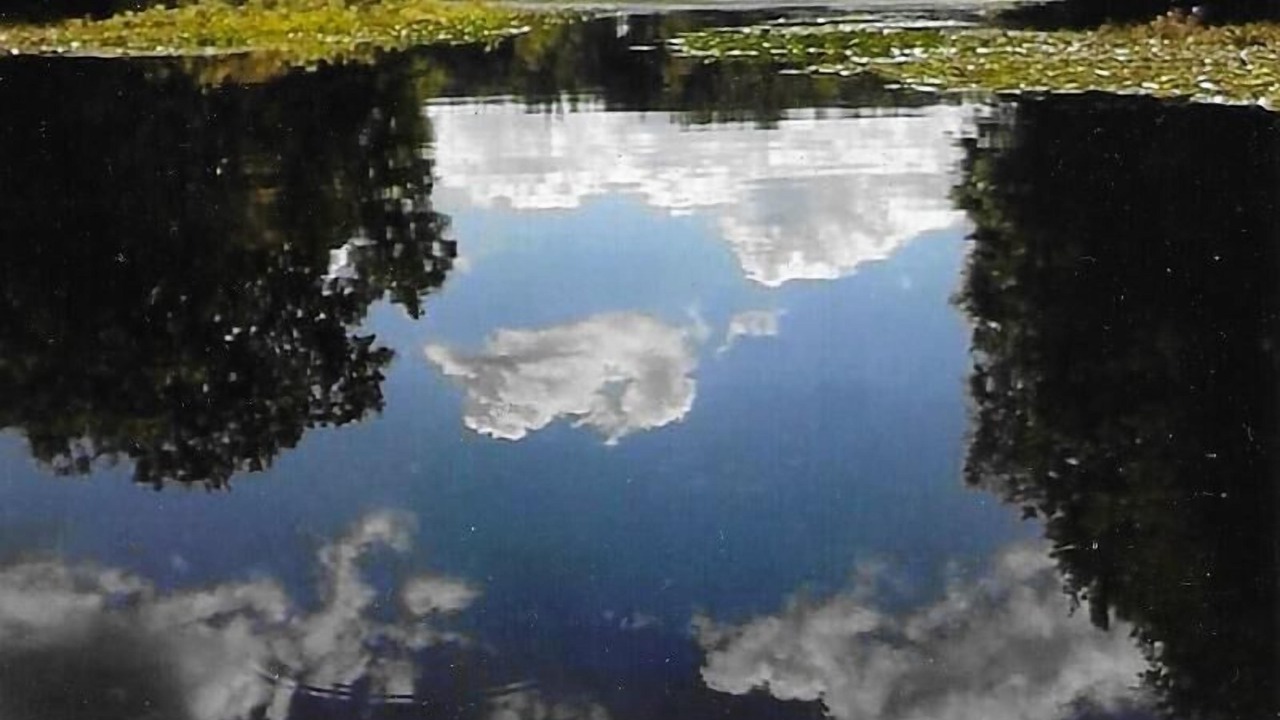 Photo of Outdoor in Delton
