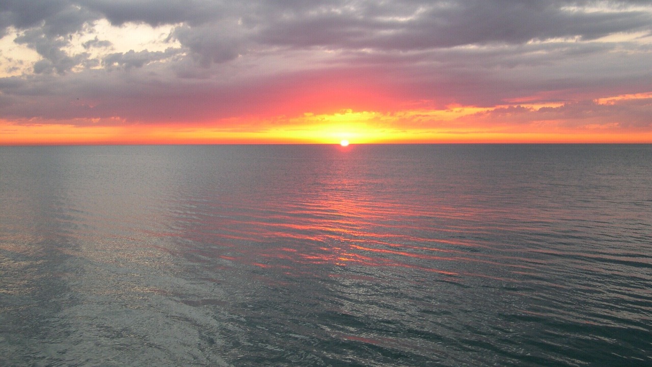 Photo of Outdoor in Lakeview