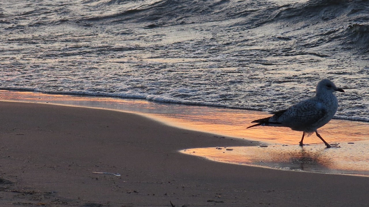 Photo of Others in Upper Peninsula Michigan