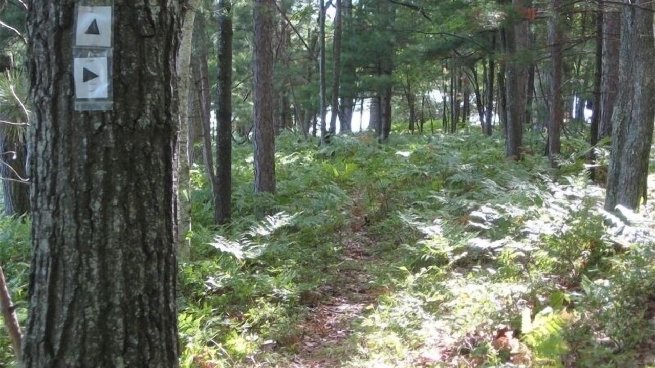 Photo of Outdoor in Frederic