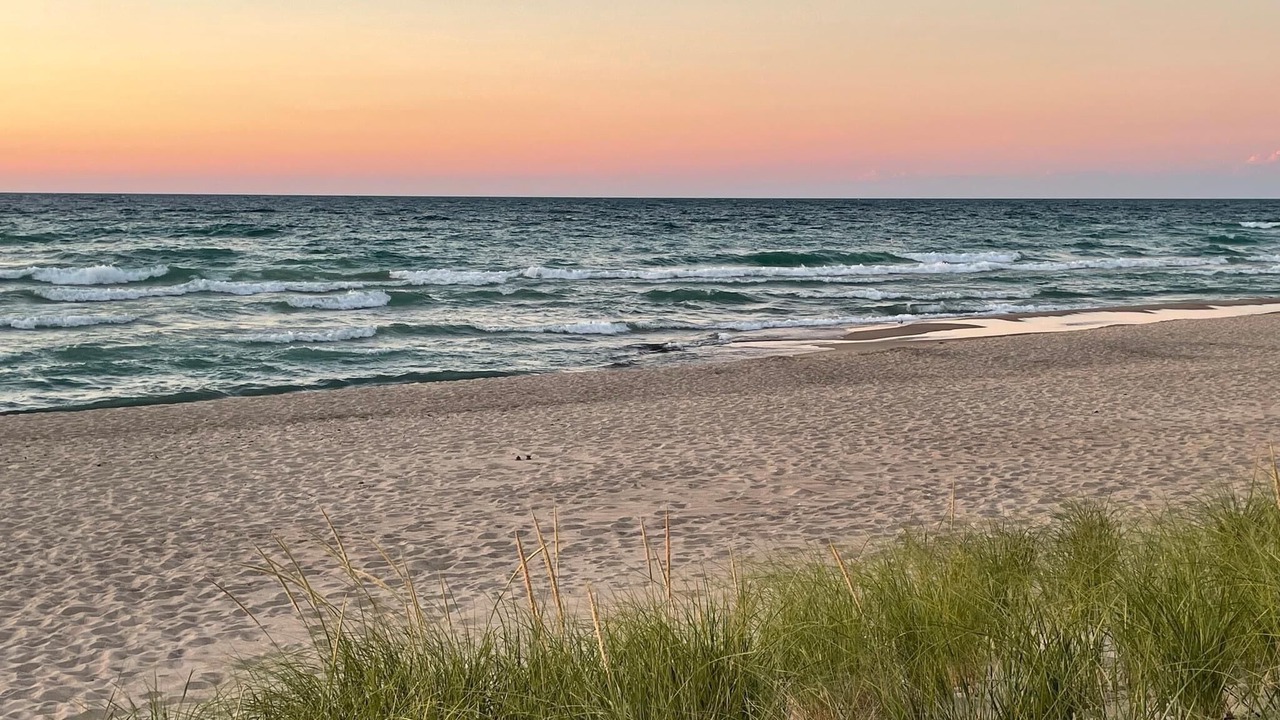 Photo of Others in Porter Beach