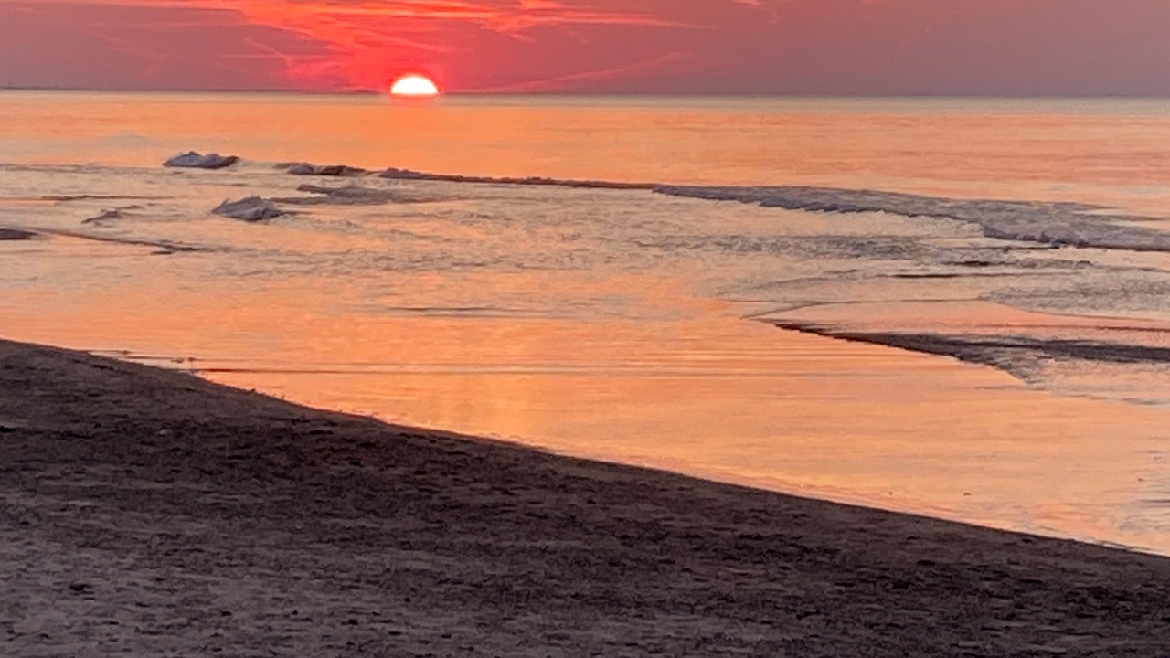 Photo of Others in Porter Beach