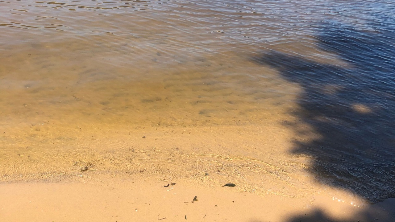 Photo of Others in Saugatuck