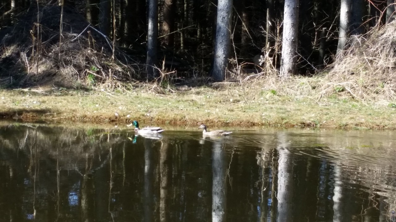 Photo of Others in Norton Shores