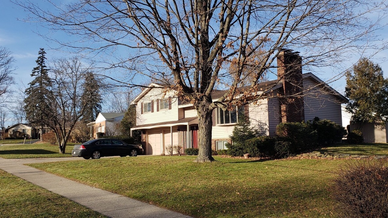 Photo of Others in Kentwood