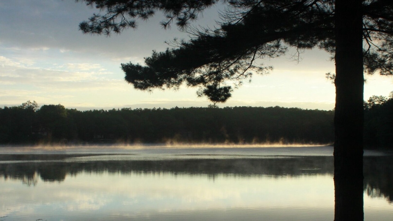 Photo of Outdoor in Herron
