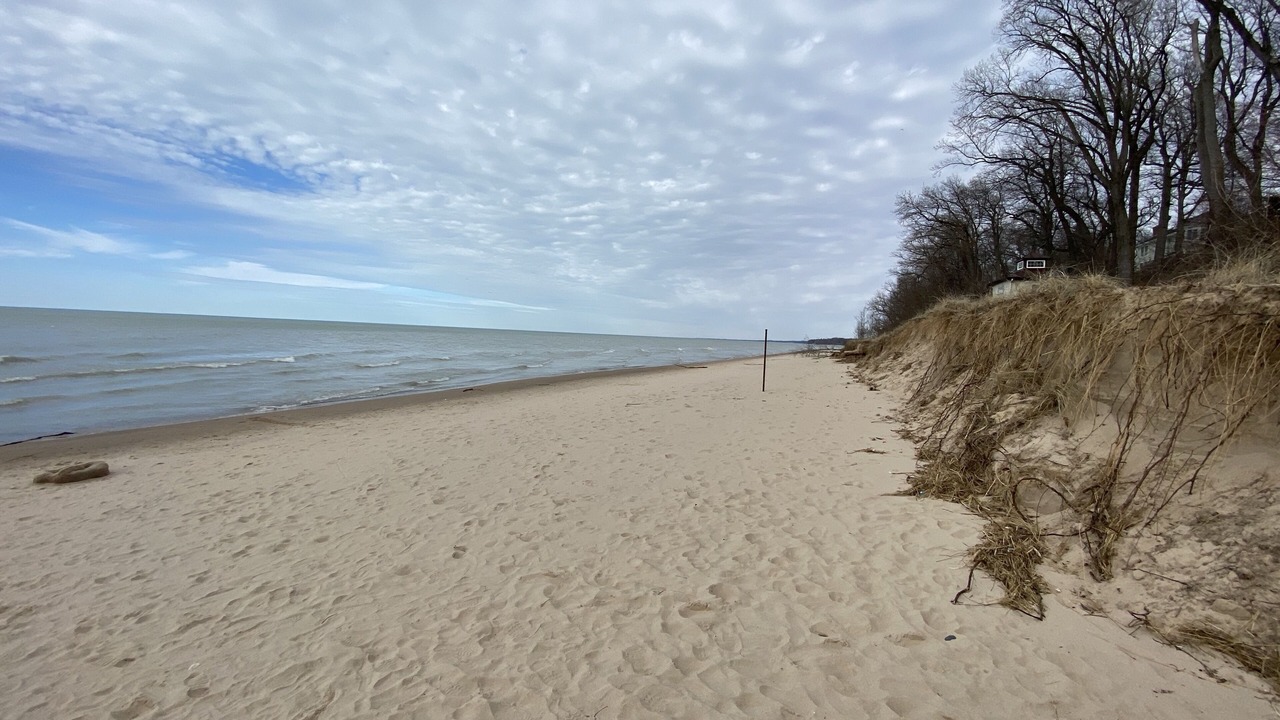 Photo of Others in Gordon Beach