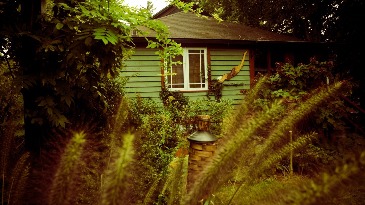 Photo of Outdoor in Lakeside
