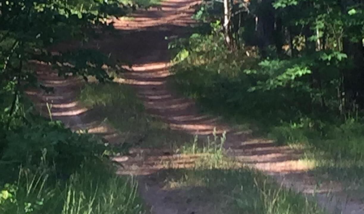 Photo of Outdoor in Upper Peninsula Michigan
