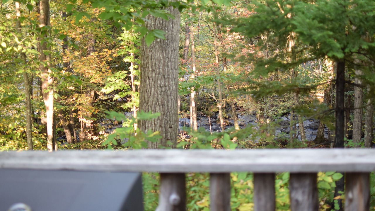 Photo of Others in Athelstane