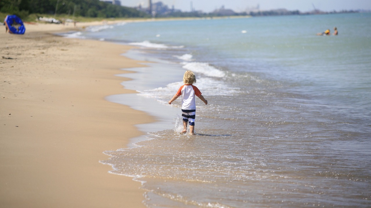 Photo of Others in Porter Beach