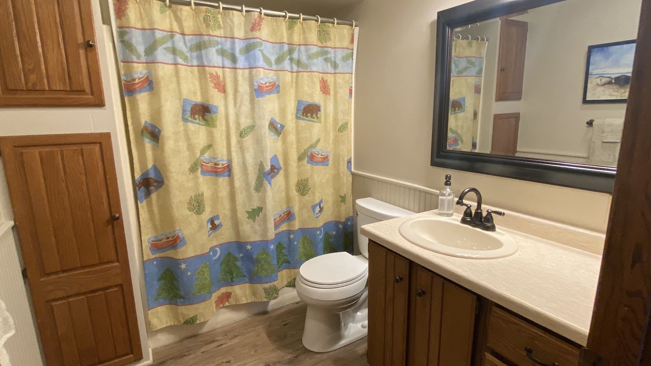 Photo of Bathroom in Wauksaukee
