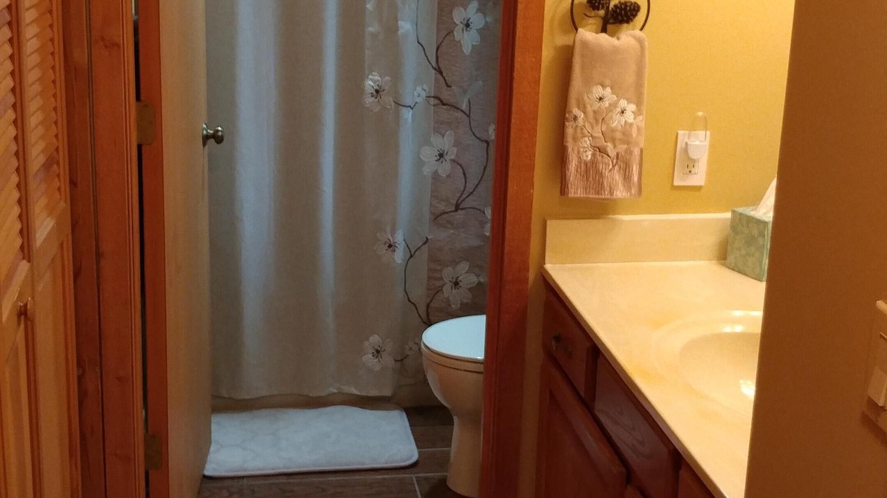 Photo of Bathroom in Mancelona