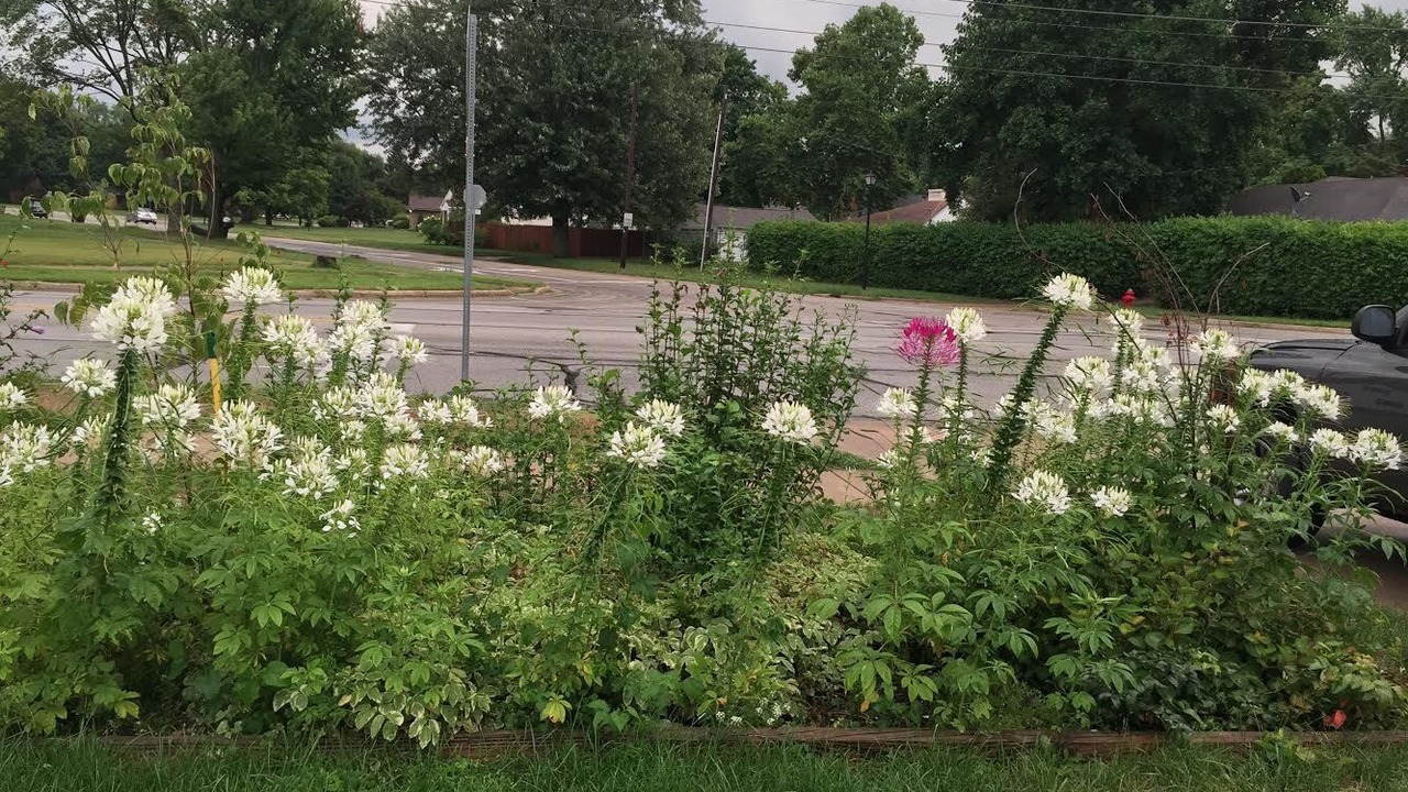 Photo of Outdoor in Northeast South Bend