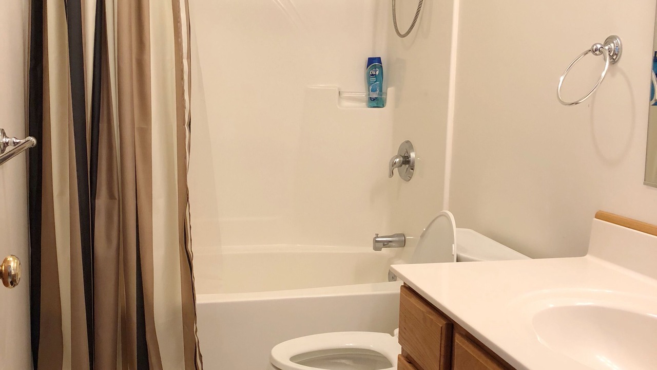 Photo of Bathroom in Paw Paw Lake