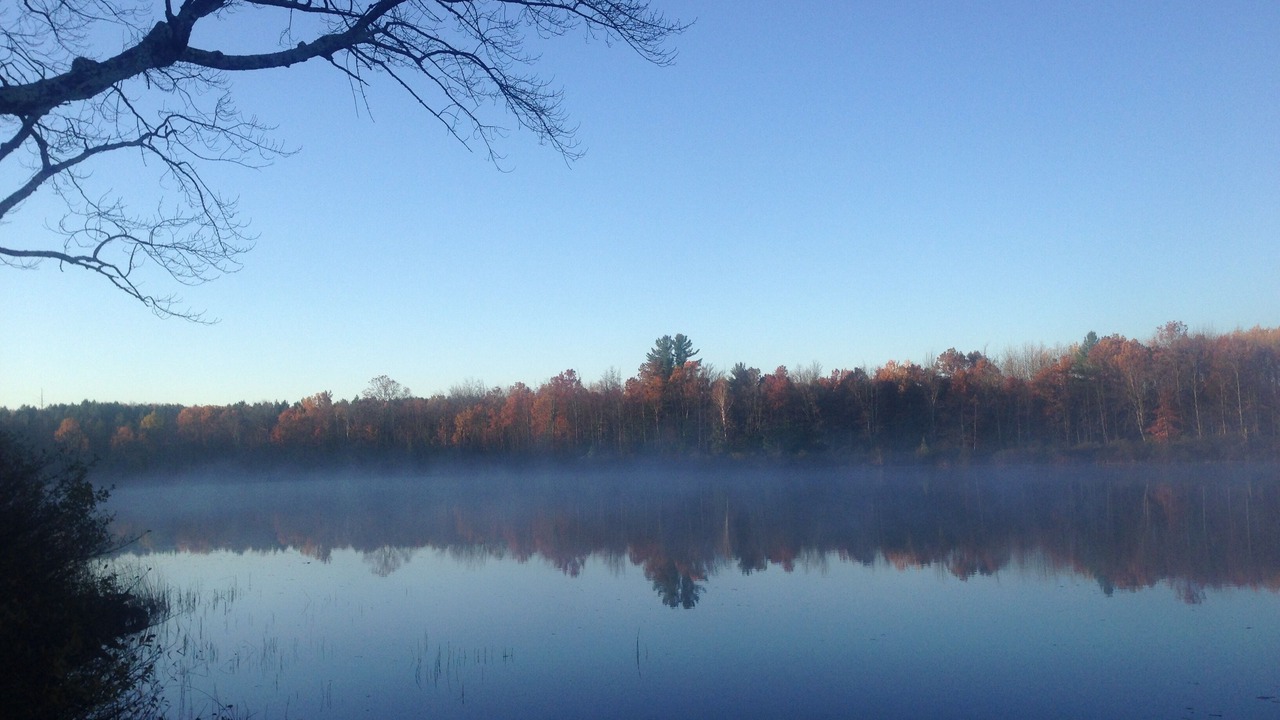 Photo of Outdoor in Mayfield