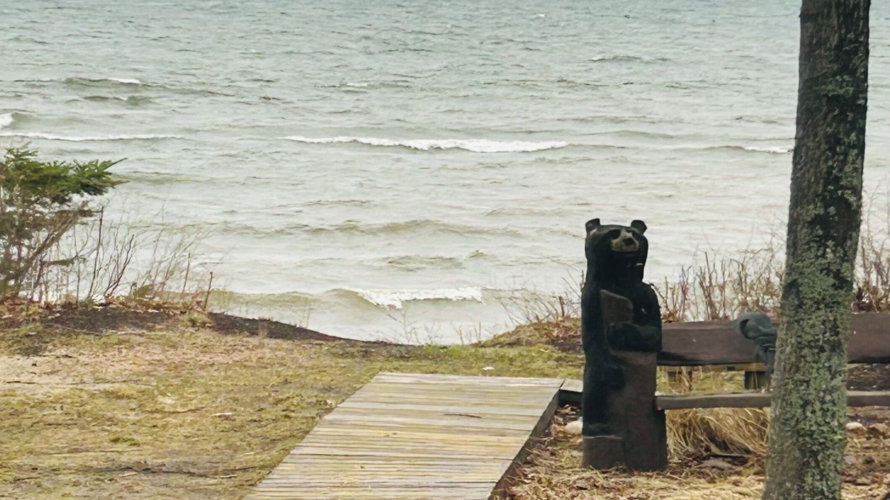 Photo of Others in Brimley