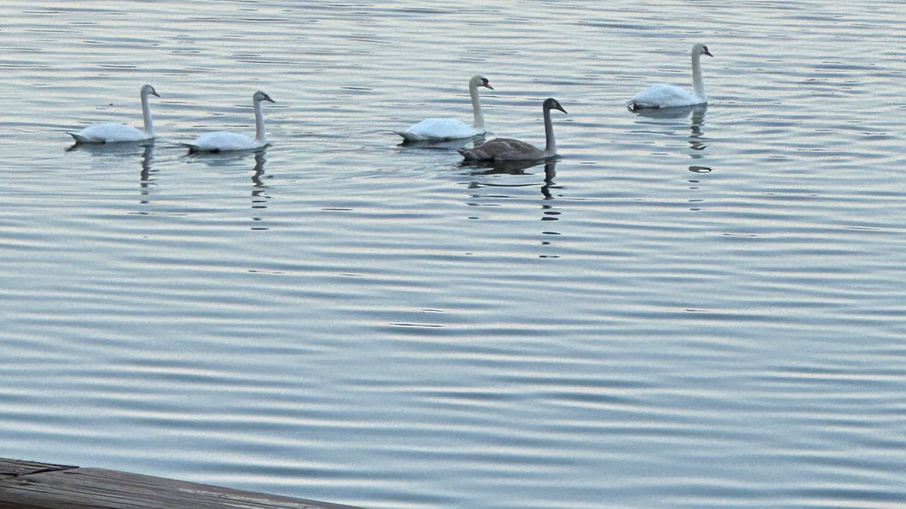 Photo of Others in Barryton