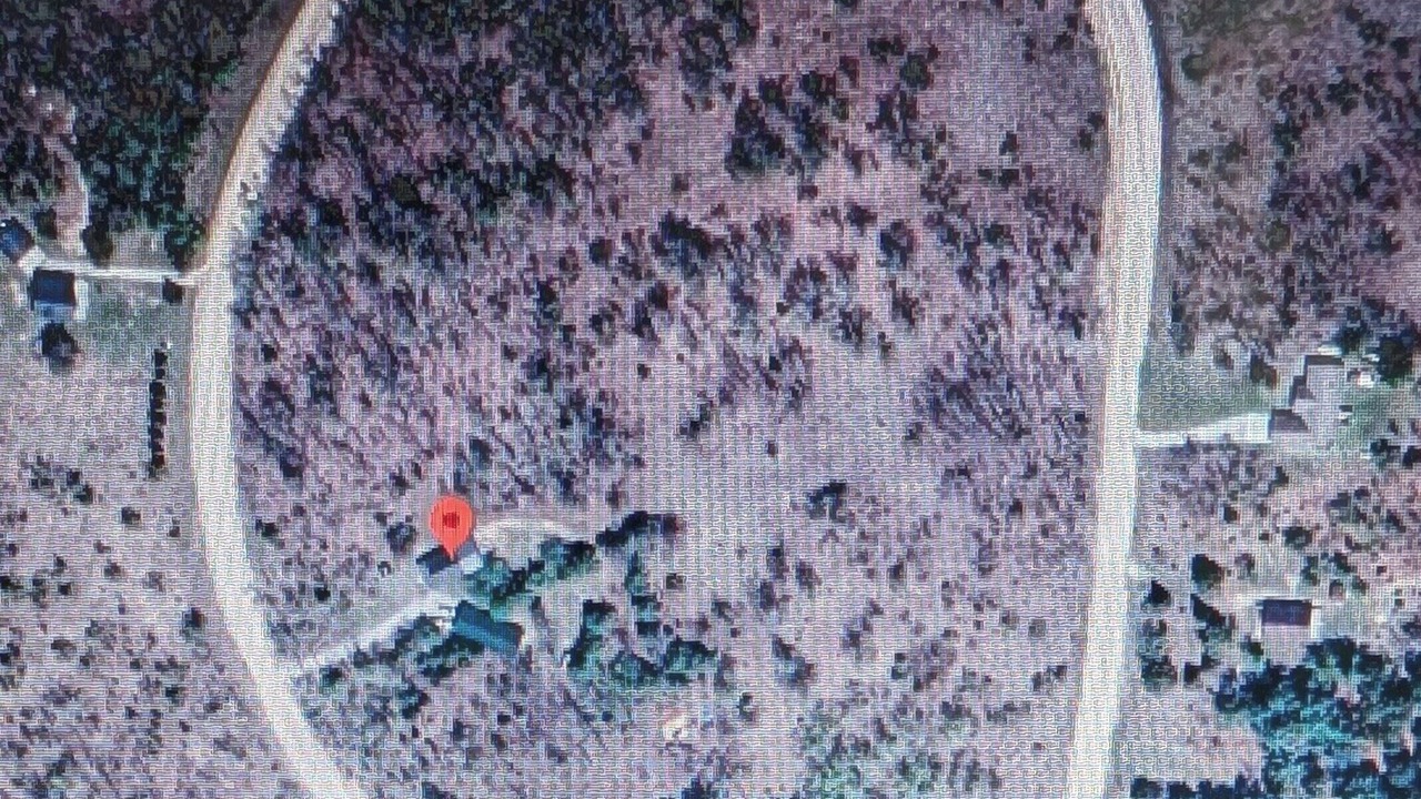 Photo of Others in Elmira