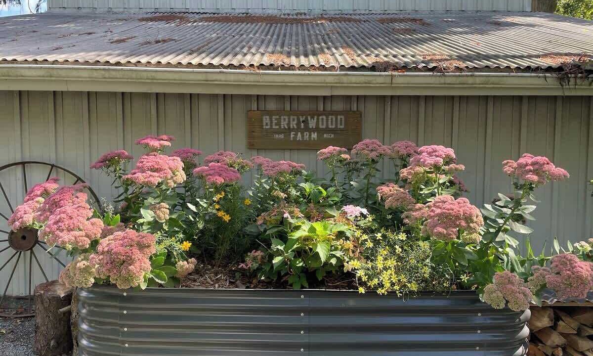 Photo of Outdoor in Three Oaks
