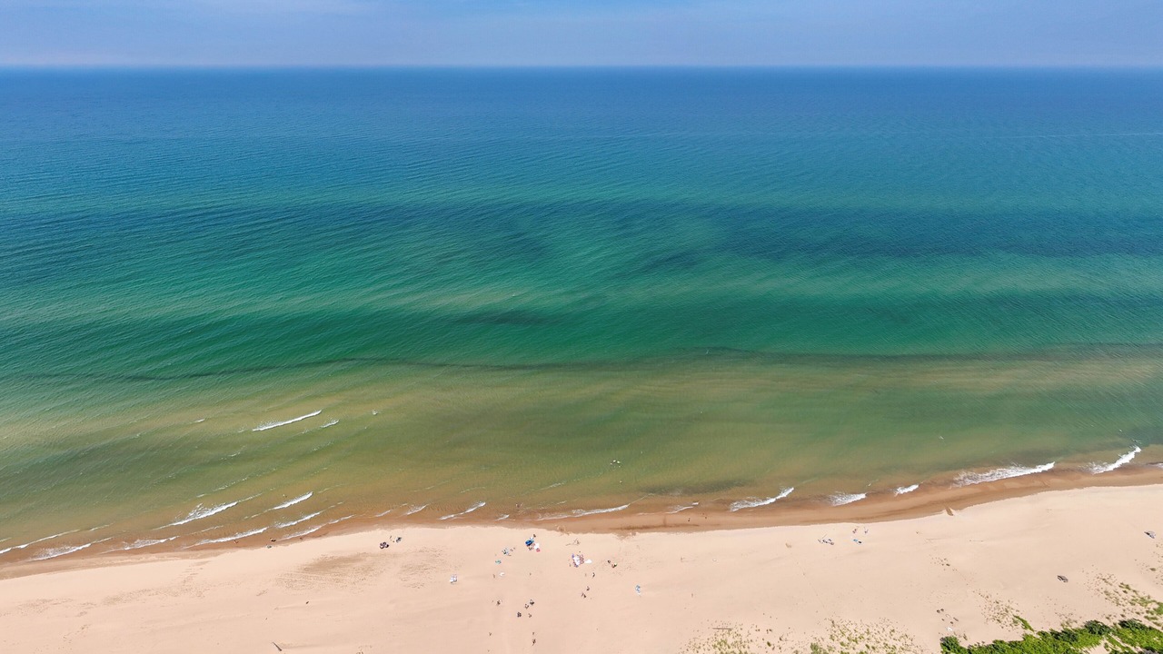 Photo of Others in South Haven