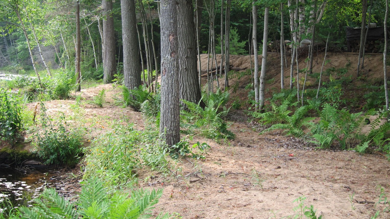 Photo of Outdoor in Steuben