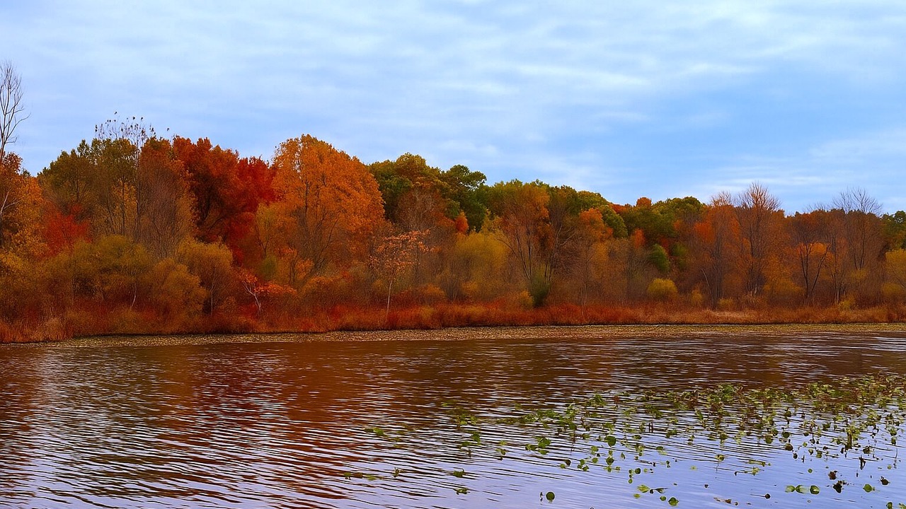 Photo of Outdoor in Edwardsburg