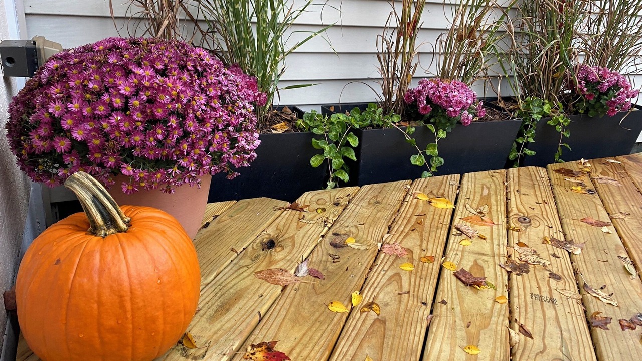 Photo of Outdoor in South Haven