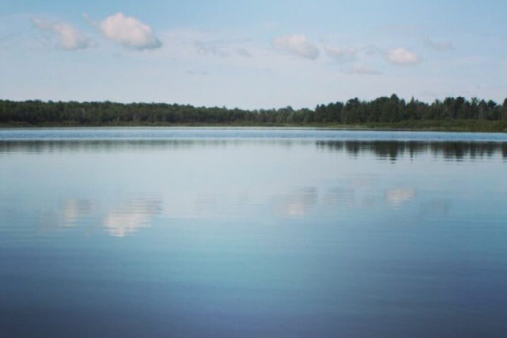Photo of Others in Trout Lake