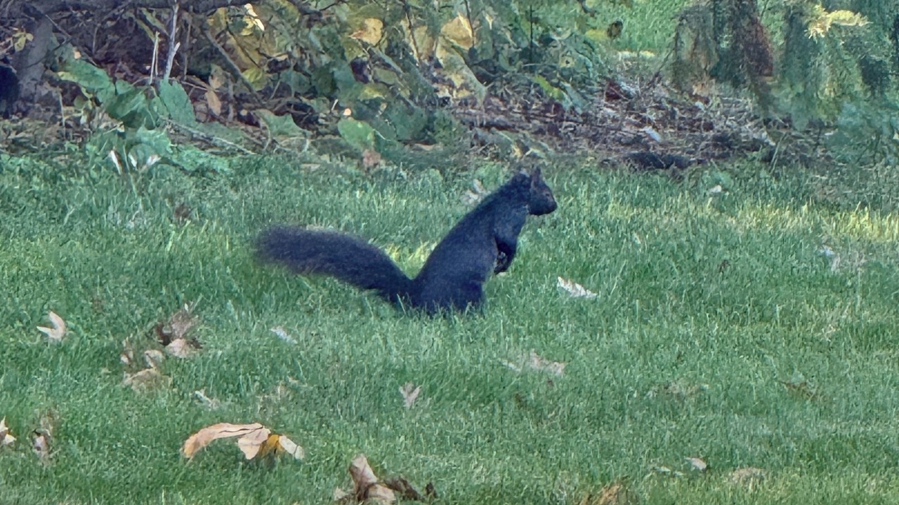 Photo of Others in Elkhart