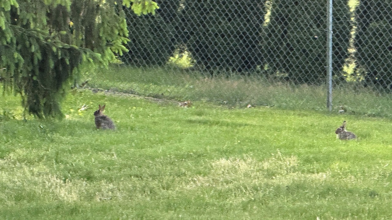 Photo of Others in Elkhart