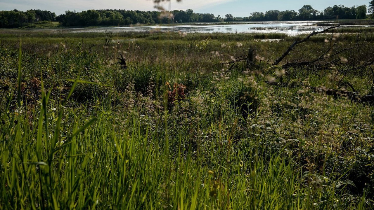 Photo of Others in East Troy