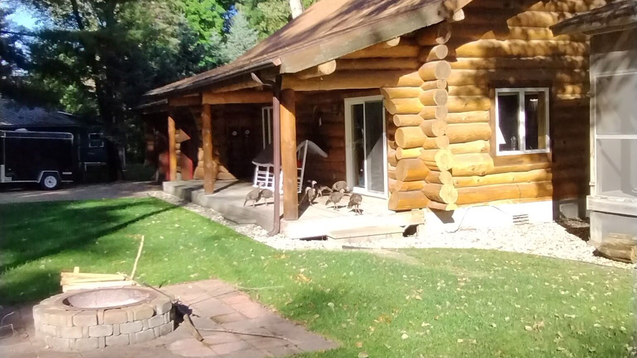 Photo of Outdoor in Silver Lake