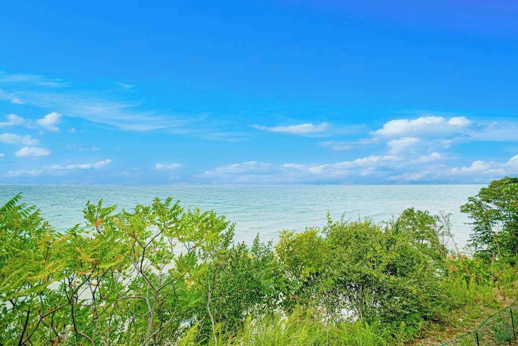Photo of Others in Glenn Haven Shores