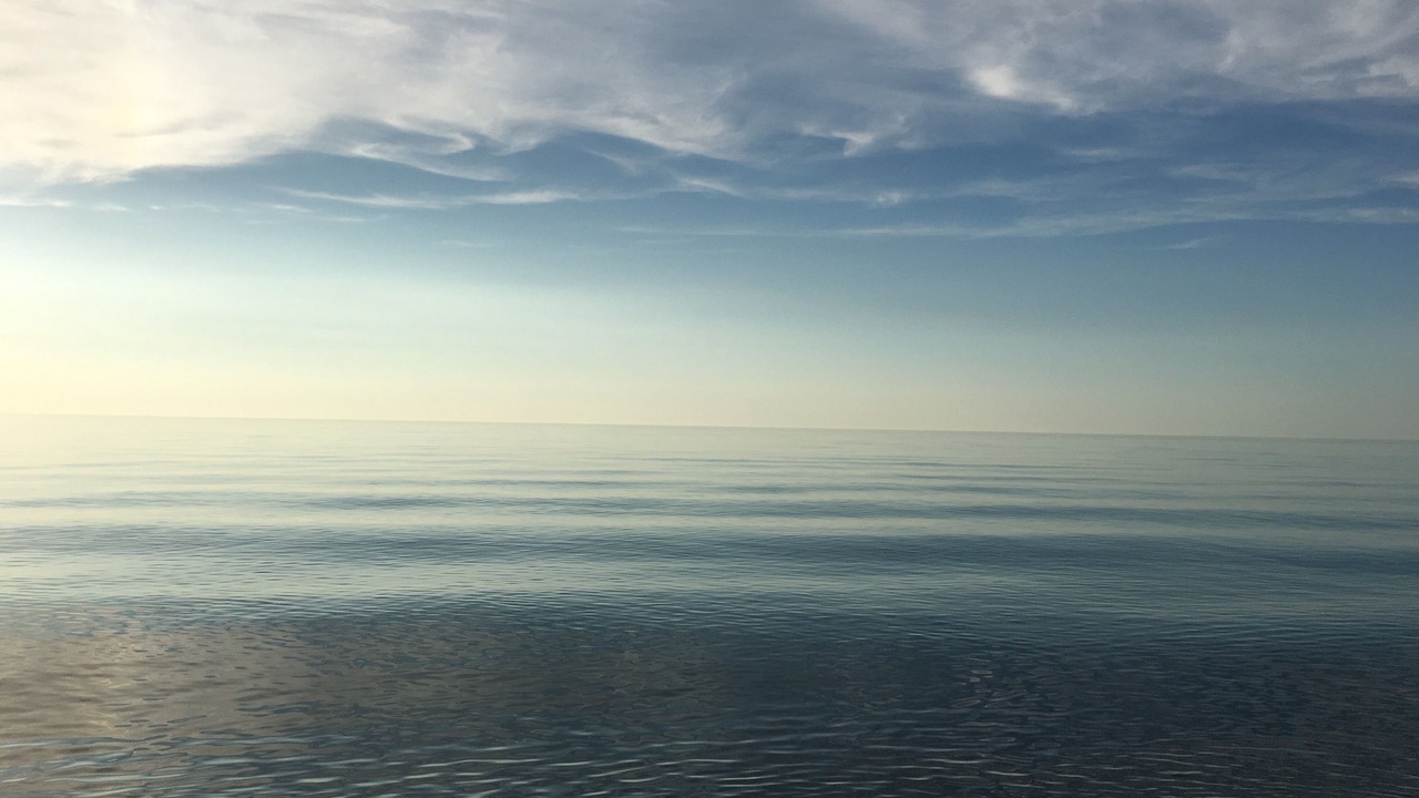 Photo of Others in Michiana