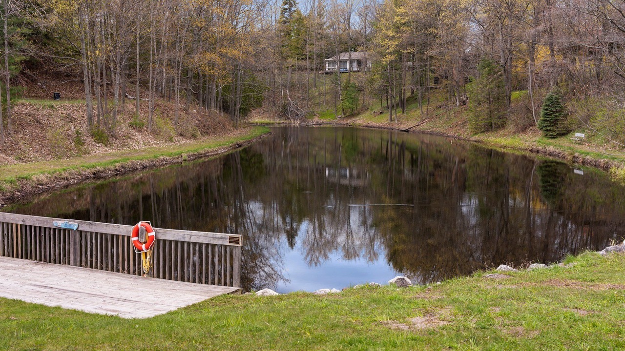 Photo of Outdoor in Northport