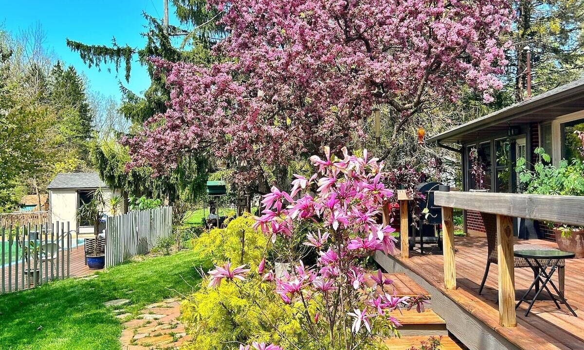 Photo of Patio Balcony in Walker