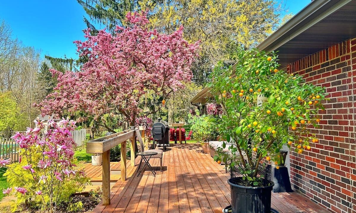 Photo of Patio Balcony in Walker