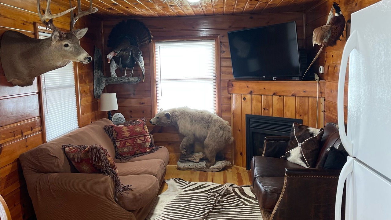 Photo of Livingroom in Rapid River