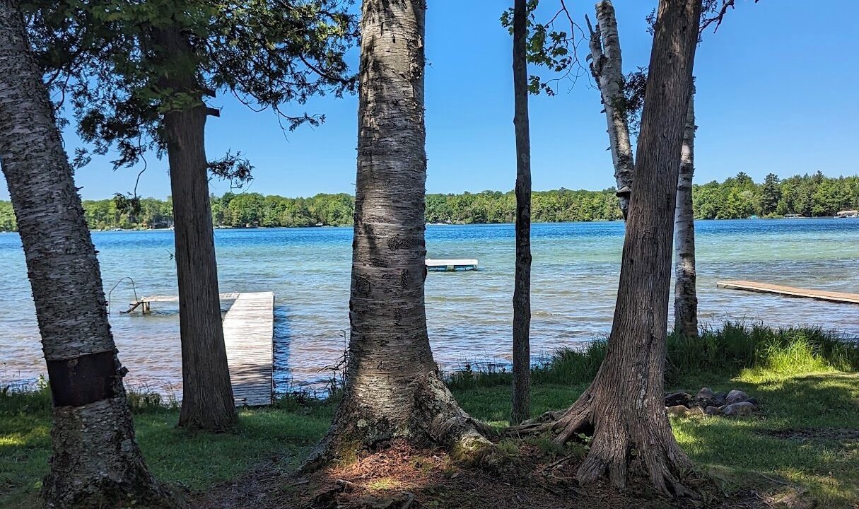 Photo of Outdoor in Kewadin
