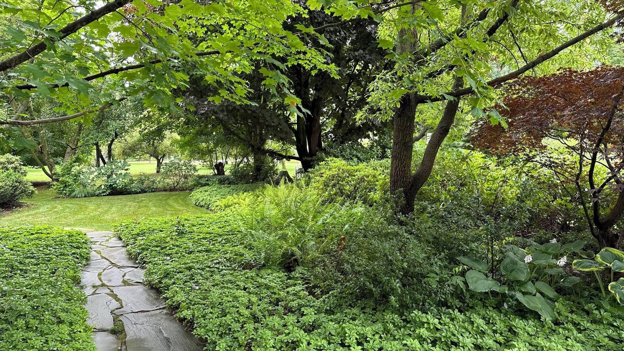 Photo of Outdoor in Douglas