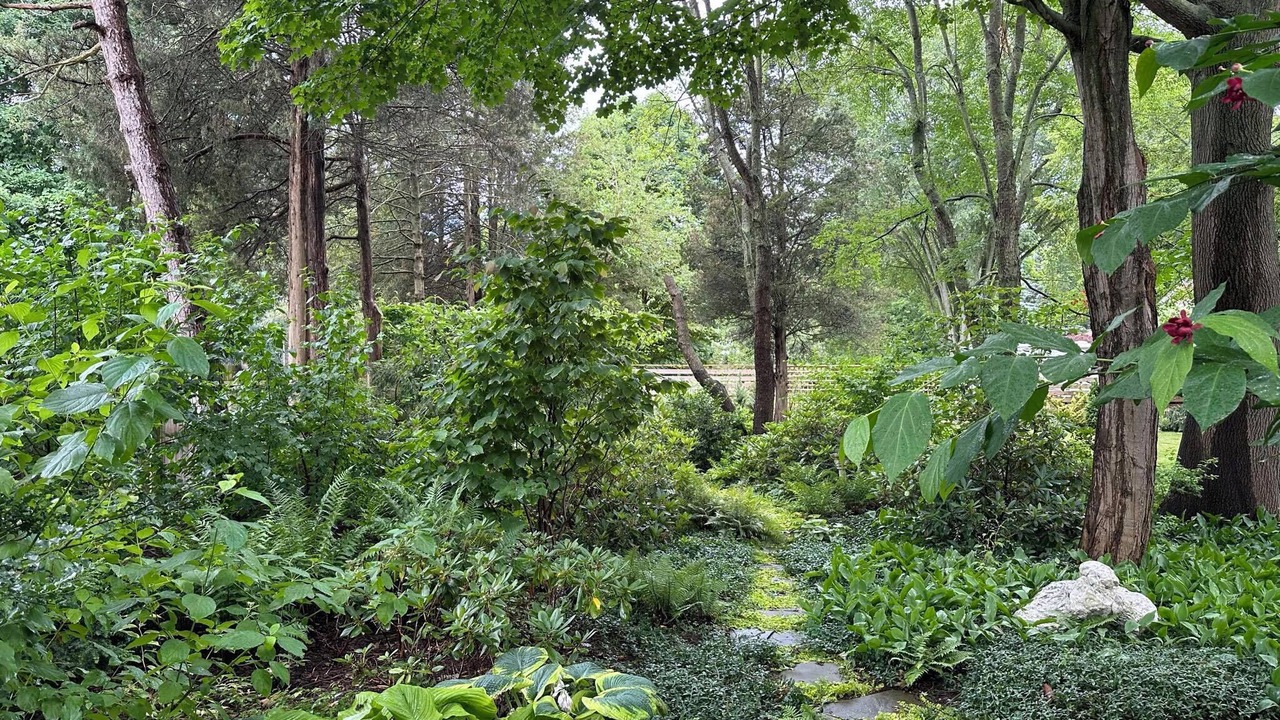 Photo of Outdoor in Douglas