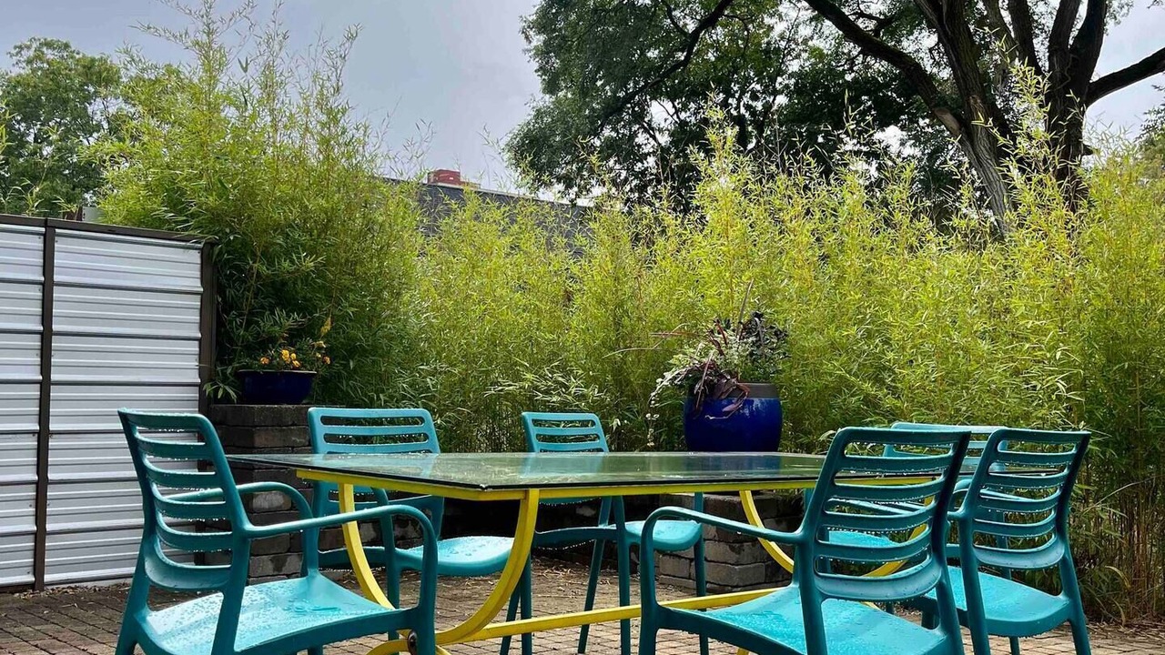 Photo of Outdoor in Miller Beach