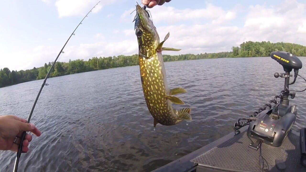 Photo of Others in Wauksaukee