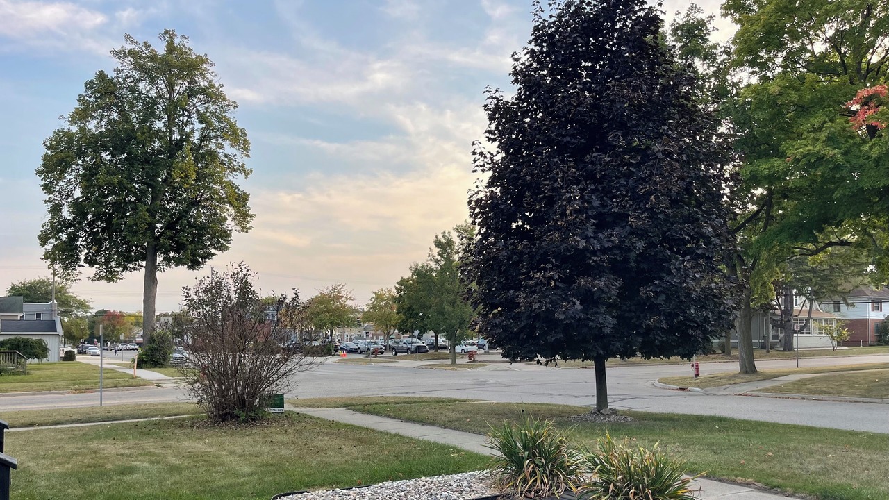 Photo of Outdoor in Alma