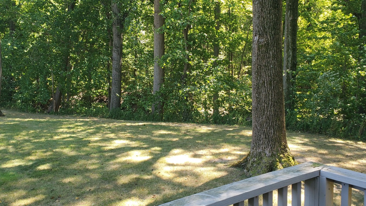 Photo of Others in Stevensville