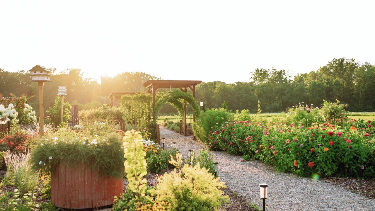 Photo of Outdoor in Westville