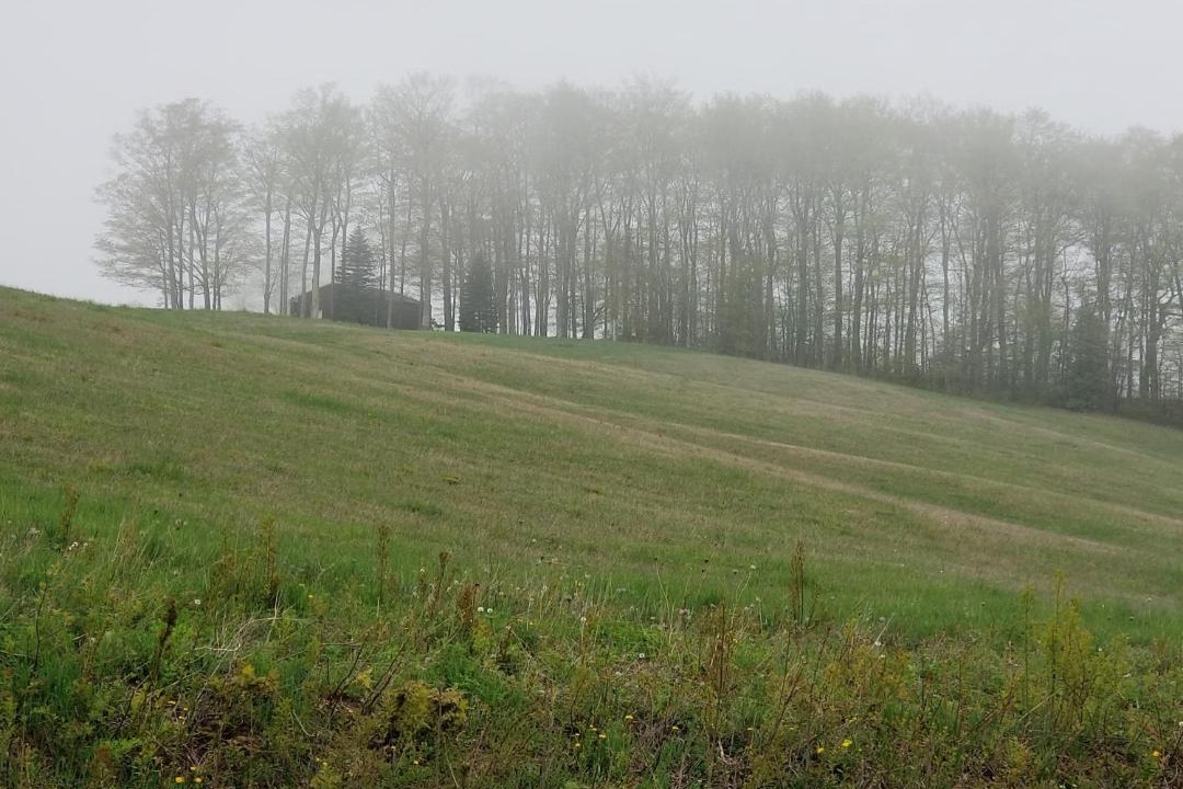 Photo of Outdoor in Mayfield