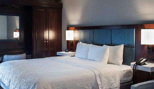 Room, 1 King Bed with Sofa bed